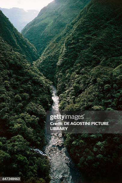 Waterway between the vegetation in Mambita valley, Cundinamarca, Colombia.