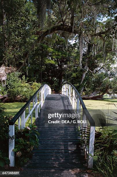Wood bridge, Historic Magnolia Plantation and Gardens on Ashley river, Charleston, South Carolina, Stati Uniti d'America.