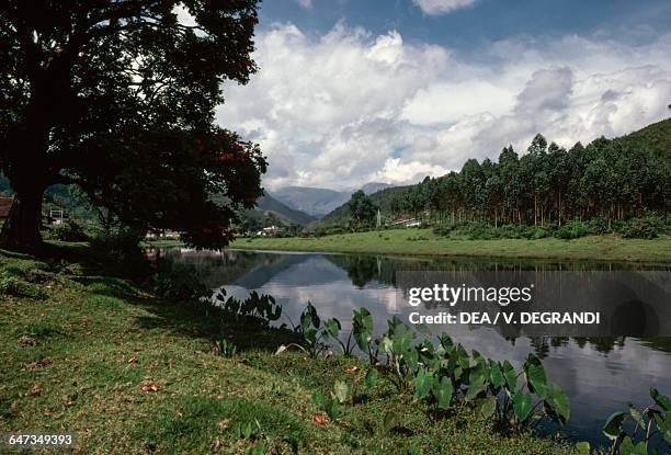 River amongst vegetation, Ghats mountains, Munnar, Kerala, India.