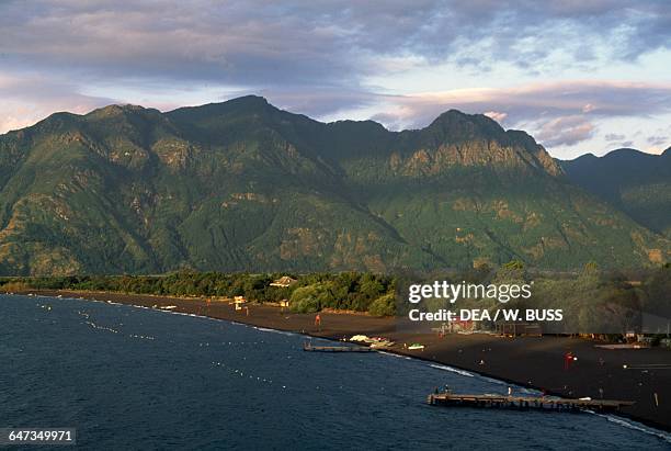 Coast of Villarrica lake near Pucon, Villarrica National Park, Araucania, Chile.