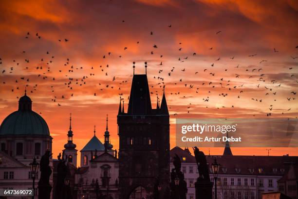 beautiful morning view of the city of prague at sunrise with stunning sky taken from the charles bridge with the cityscape landmarks and birds flying in the orange sky. - stare mesto stock-fotos und bilder