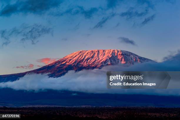 Mt Kilimanjaro, in Tanzania, from Satao Elerai Conservancy, Near Amboseli National Park, Kenya.