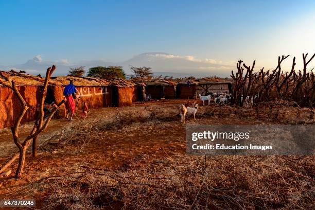Manyata House 338 Masai House Stock Photos, High-Res Pictures, and Images - Getty Images