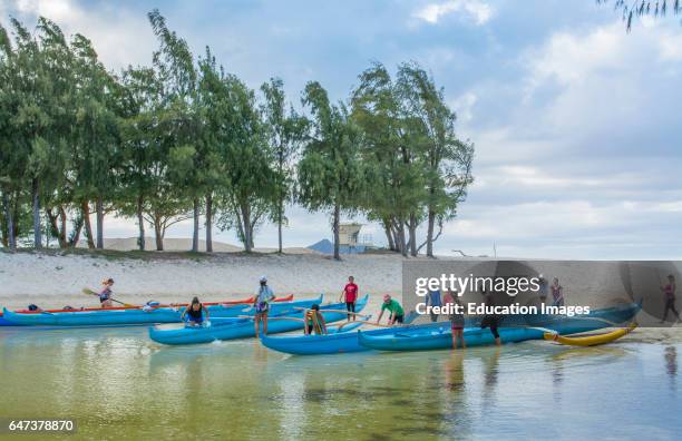 Outrigger Rowing 247 Outrigger Canoe Club Stock Photos, High-Res Pictures, and Images ...