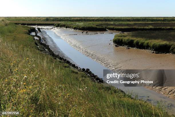 Muddy creek salt marsh River Ore, Orford Ness, Shingle Street, Hollesley, Suffolk, England, UK.