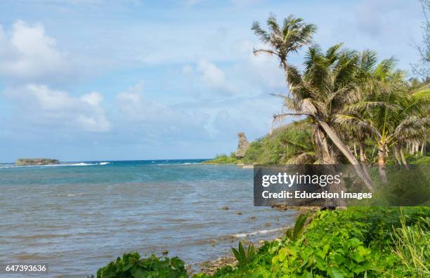 Guam USA Territory palms and waves at Bear Rock in South Guam.