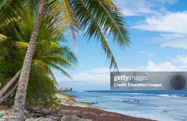 Majuro Marshall Islands beach with palm trees and ocean romantic scene.