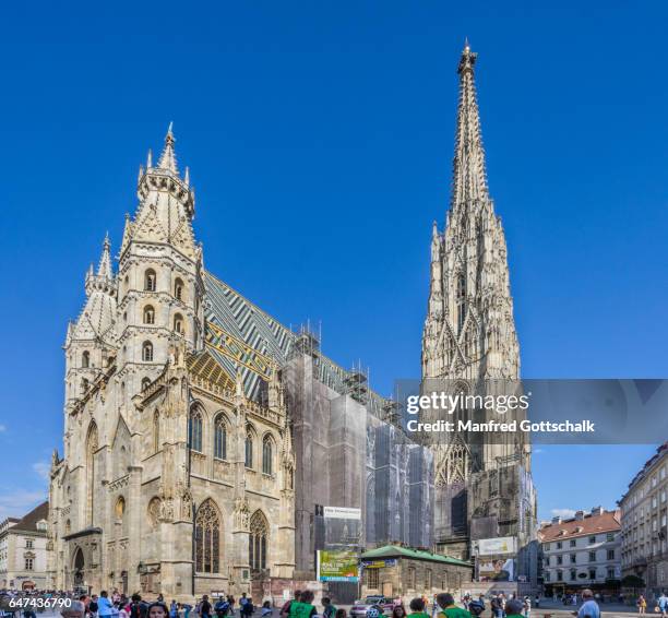 st. stephen's cathedral vienna - stephansplatz stock pictures, royalty-free photos & images