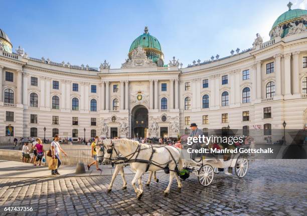 vienna hofburg michaelerplatz - vienna austria stock pictures, royalty-free photos & images