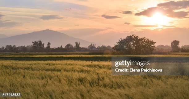 springtime sunset - skopje stock pictures, royalty-free photos & images