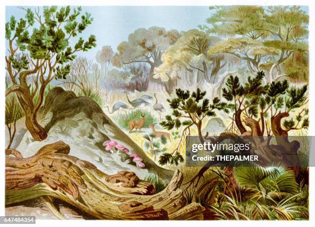 termites hill chromolithograph 1884 - termites stock illustrations