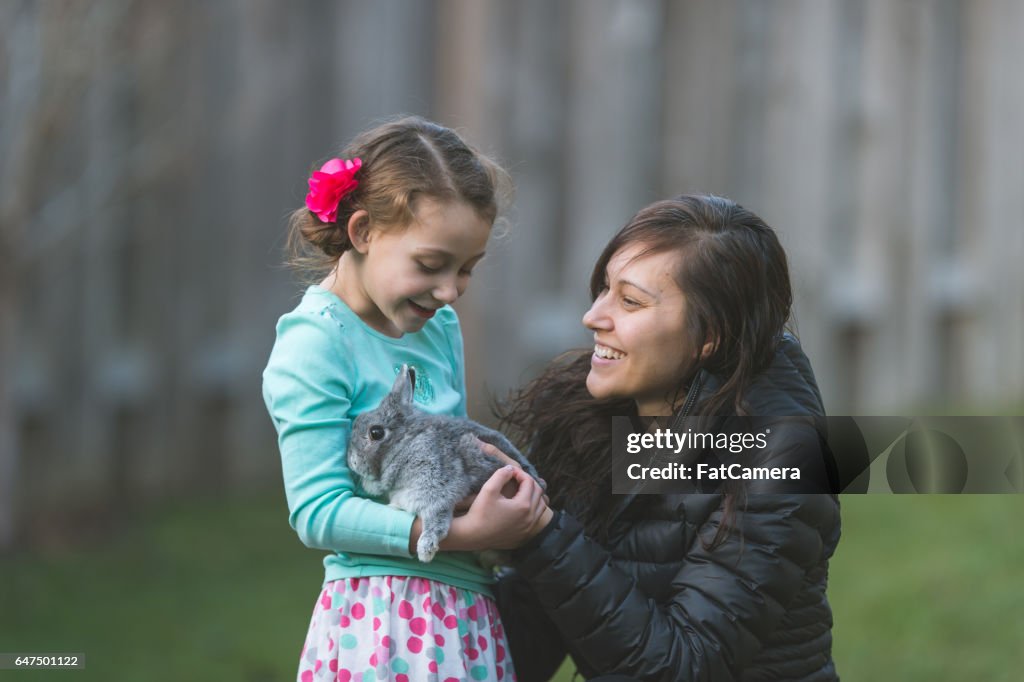 Chasse aux œufs avec lapin !