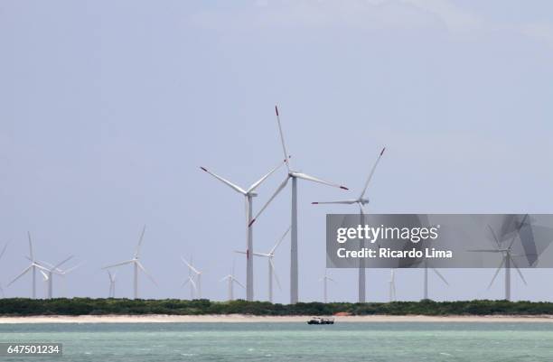 wind energy in northeastern brazil - rio grande do norte imagens e fotografias de stock