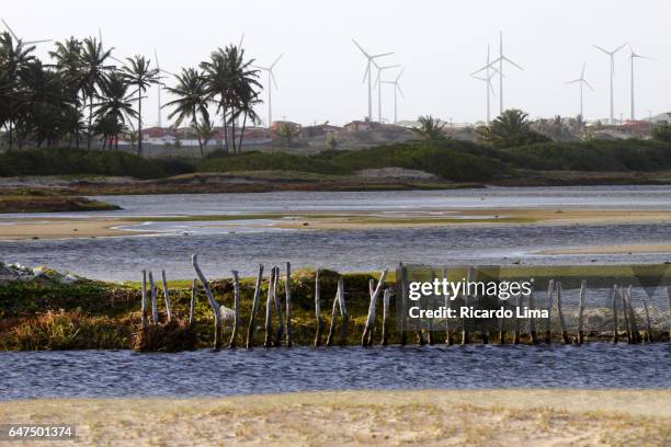 wind energy in northeastern brazil - rio grande do norte imagens e fotografias de stock