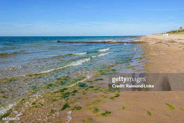 beach, vejby strand - kattegat stock pictures, royalty-free photos & images