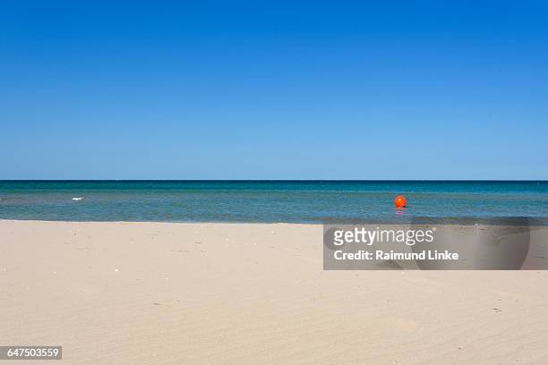 sandy beach with sea in summer - kattegat stock-fotos und bilder