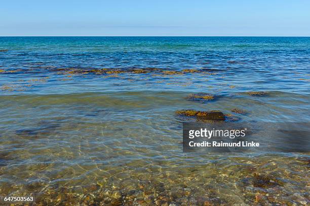 beach with sea - kattegat stock-fotos und bilder