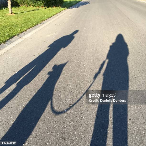 shadow people - danielle donders stock pictures, royalty-free photos & images