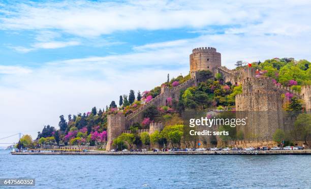the color of istanbul erguvan, judas tree or redbud - istanbul stock pictures, royalty-free photos & images