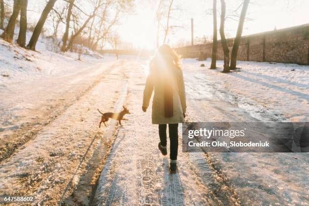 frau zu fuß im park mit hund im winter - spazieren stock-fotos und bilder