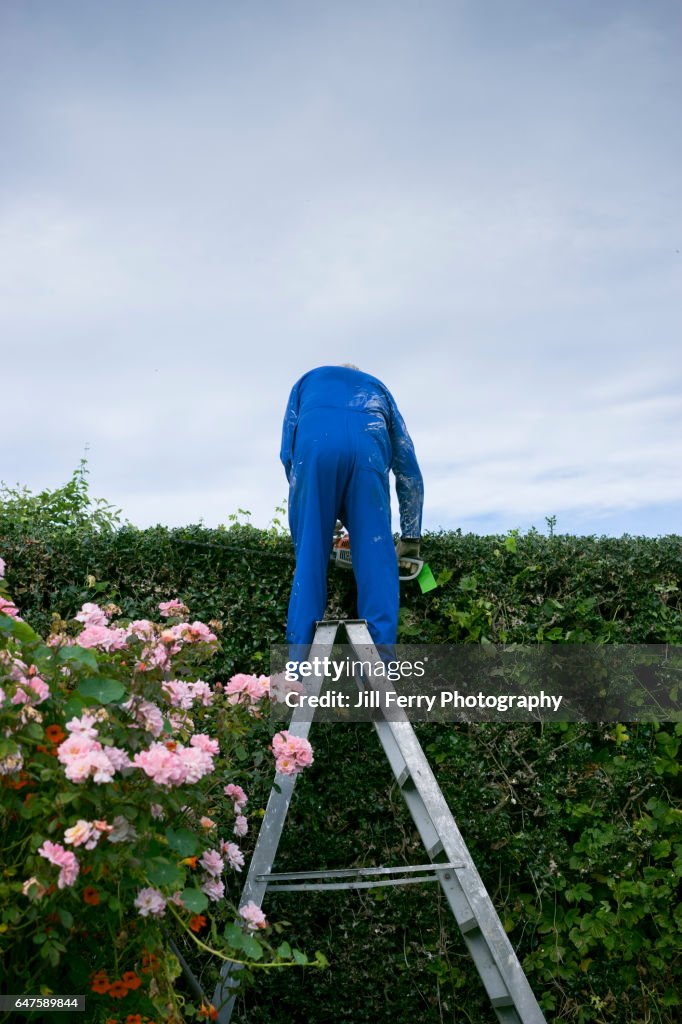 Cutting the Hedge