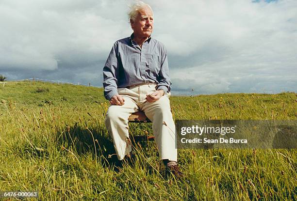 elderly man sitting in meadow - irish man stock pictures, royalty-free photos & images