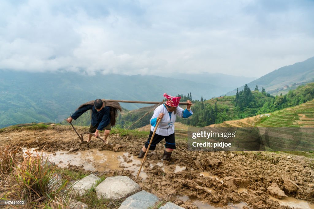 Rice farmers ploughing by hand under dramatic sky