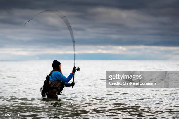 winter sea fishing at møns klint denmark - surf casting stock pictures, royalty-free photos & images