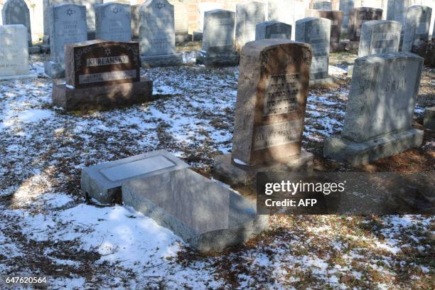 Vandalized stones are scattered at Stone Road or Waad Hakolel Cemetery in Rochester, New York on March 3, 2017. - Vandals tumbled and defaced...