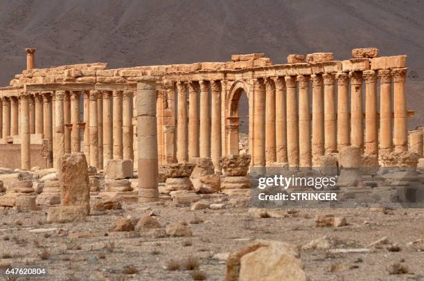 Picture taken on March 3, 2017 shows a view of the Great Colonnade in the ancient city of Palmyra in central Syria. Syrian troops backed by Russian...