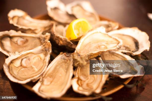 seafood brassiere, oysters, cancale, bryttany - cancale bildbanksfoton och bilder