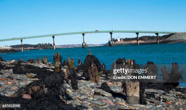 Cars cross the International Bridge between Lubec, Maine and Campobello Island, Canada March 3, 2017 in the US/Canada border town of Lubec, Maine....