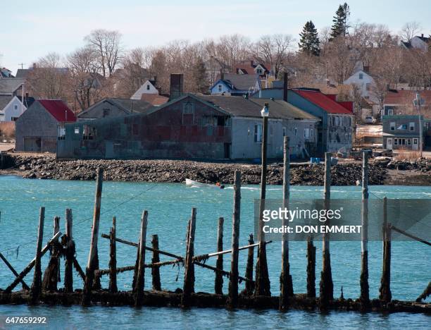Man motors his boat along the shoreline March 3, 2017 in Lubec, Maine. Lubec is the easternmost town in the contiguous United States with a border...