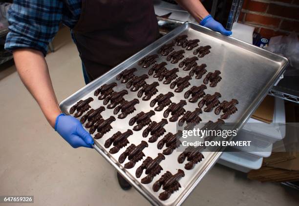 Chocolate lobsters are among the favorites at Monica's Chocolates, March 3 in the US/Canada border town of Lubec, Maine. Lubec is the easternmost...