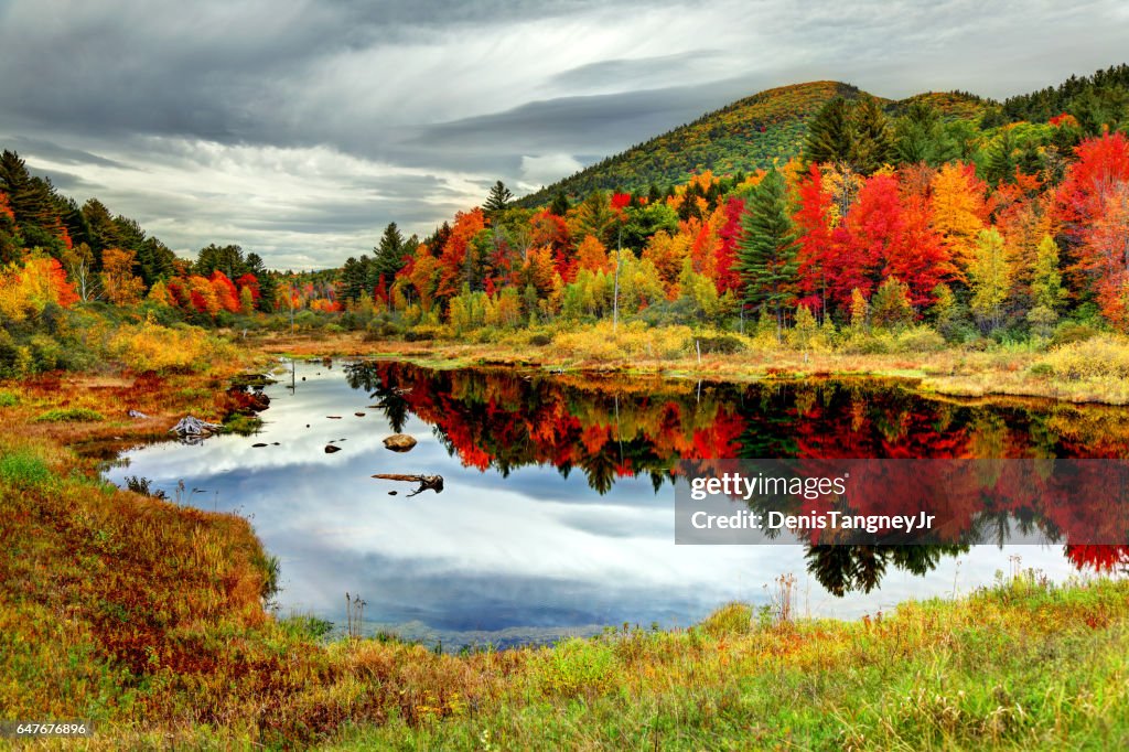 Höstfärger i Vita bergen i New Hampshire