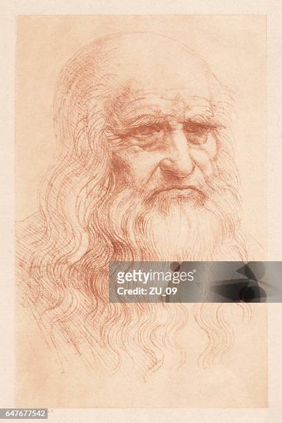 leonardo da vinci (1452-1519), italian polymath, heliogravure, published in 1884 - old man portrait stock illustrations