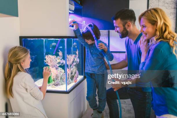 familie reinigung riffaquarium - aquarium home stock-fotos und bilder