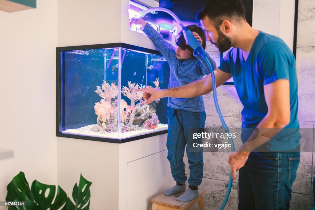 Family cleaning reef tank