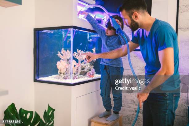 family cleaning reef tank - aquarium stock pictures, royalty-free photos & images