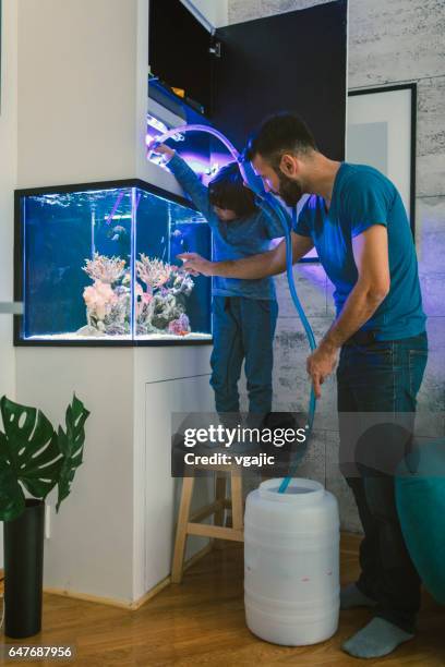 family cleaning reef tank - home aquarium stock pictures, royalty-free photos & images