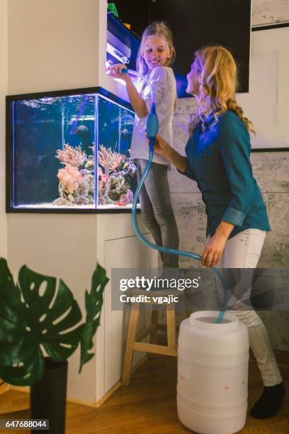 family cleaning reef tank - home aquarium stock pictures, royalty-free photos & images