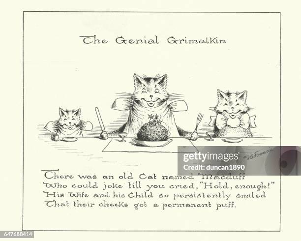 es war eine alte katze namens macduff - verwaltungsbezirk county limerick stock-grafiken, -clipart, -cartoons und -symbole