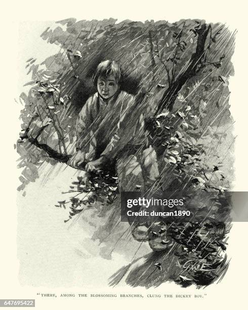 victorian boy hiding up a tree - child climbing tree stock illustrations