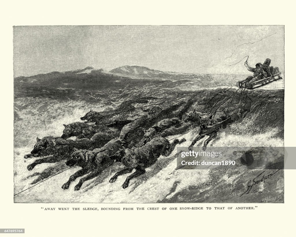 Eskimos riding a dog sled acroos the snow, 19th Century