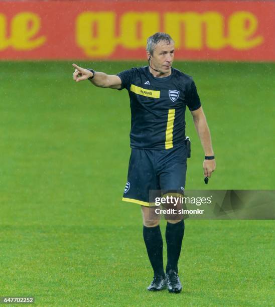 referee pointing - referee stock pictures, royalty-free photos & images