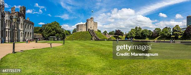 cardiff castle - cardiff castle stock pictures, royalty-free photos & images