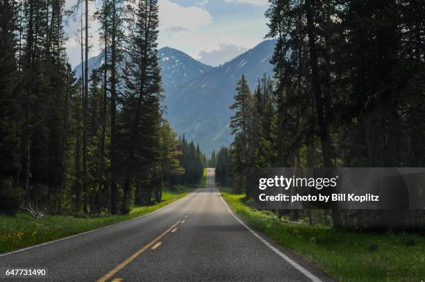 beartooth highway - beartooth highway stock pictures, royalty-free photos & images