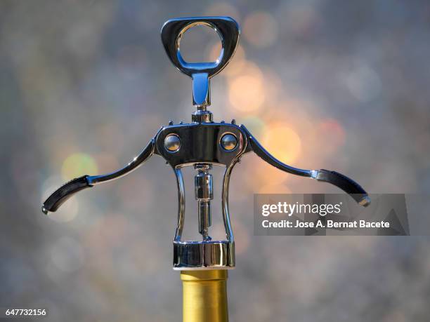 corkscrew in a wine cork in a bottle, illuminated by the light of the sun - kurkentrekker drankenbenodigdheden stockfoto's en -beelden