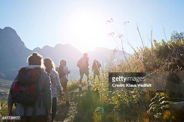 group of friends trekking in the mountains - blue sky friends stock pictures, royalty-free photos & images