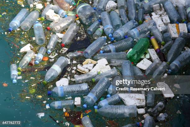 plastic bottles and polystyrene floating in sea. - contaminación ambiental fotografías e imágenes de stock